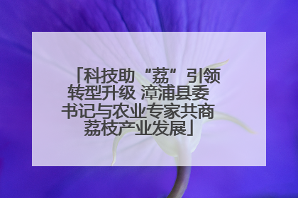 科技助“荔”引领转型升级 漳浦县委书记与农业专家共商荔枝产业发展